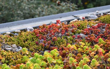 the cost of Golds Green green roof installation