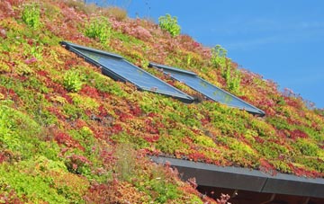 Golds Green living roof systems